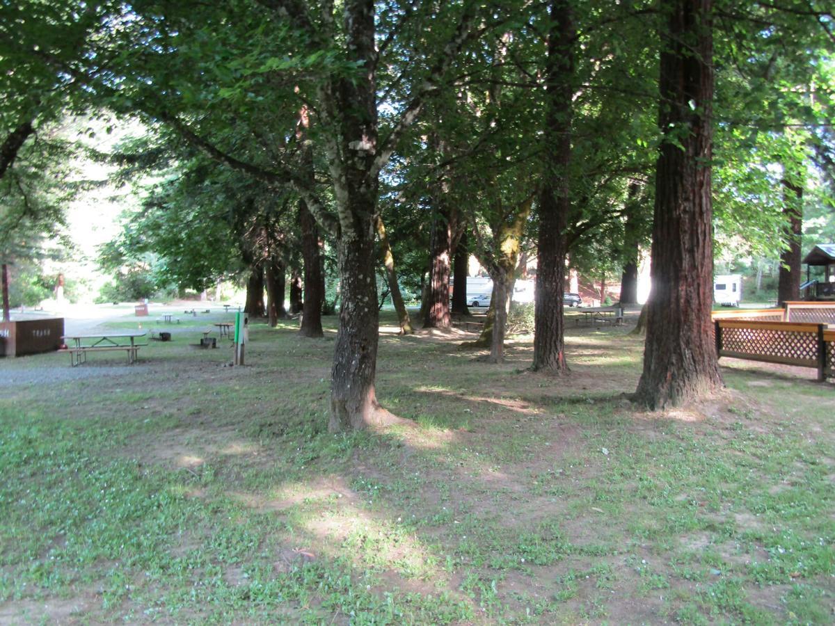 Dean Creek Resort Redway Zewnętrze zdjęcie